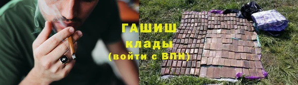 прущие грибы Абаза