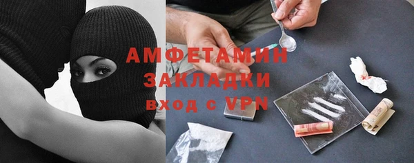 прущие грибы Абаза