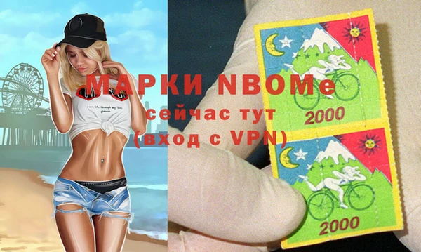 прущие грибы Абаза