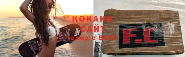 прущие грибы Абаза