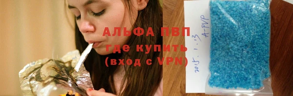 прущие грибы Абаза