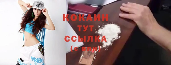 прущие грибы Абаза