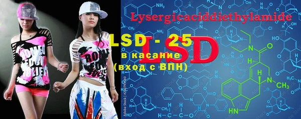 прущие грибы Абаза