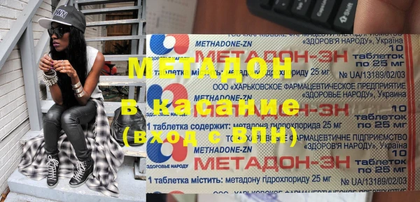 прущие грибы Абаза
