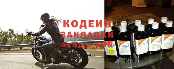 прущие грибы Абаза
