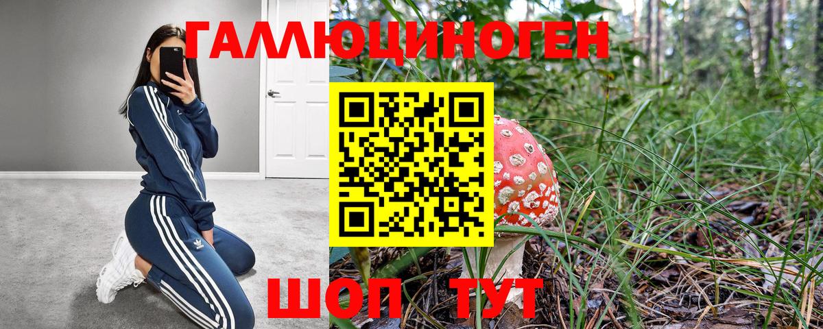 Псилоцибиновые грибы MAGIC MUSHROOMS  Вход с VPN  Владимир 